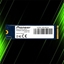 اس اس دی پایونیر APS-SE20G 256GB