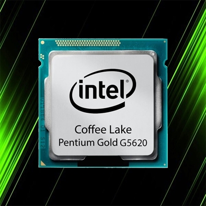 پردازنده بدون باکس اینتل Pentium Gold G5620 Coffee Lake