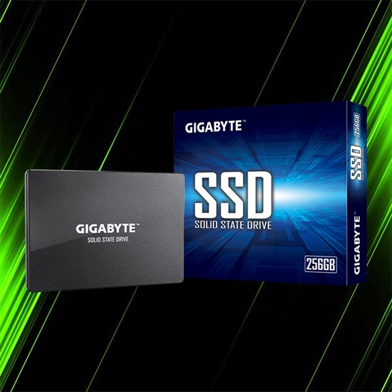 اس اس دی گیگابایت SSD 256GB