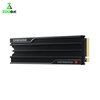 اس اس دی سامسونگ 9100PRO PCIe 5.0 NVMe 1TB with Heatsink