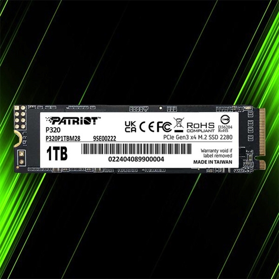 اس اس دی پاتریوت P320 M.2 2280 1TB